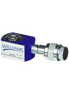 Williams Hydraulics 6CF05T03TB 5 Ton Flat Body Cylinder Kit 