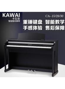 Kawai ca30 store