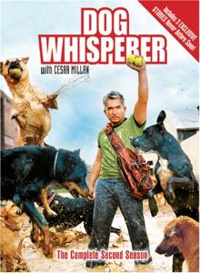 Dog Whisperer With Cesar Millan Comp Second [DVD] [Import] :: 재팬박스